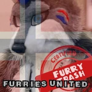 Meet your Posher, Hayden